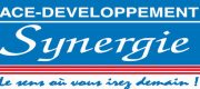 synergie_logo